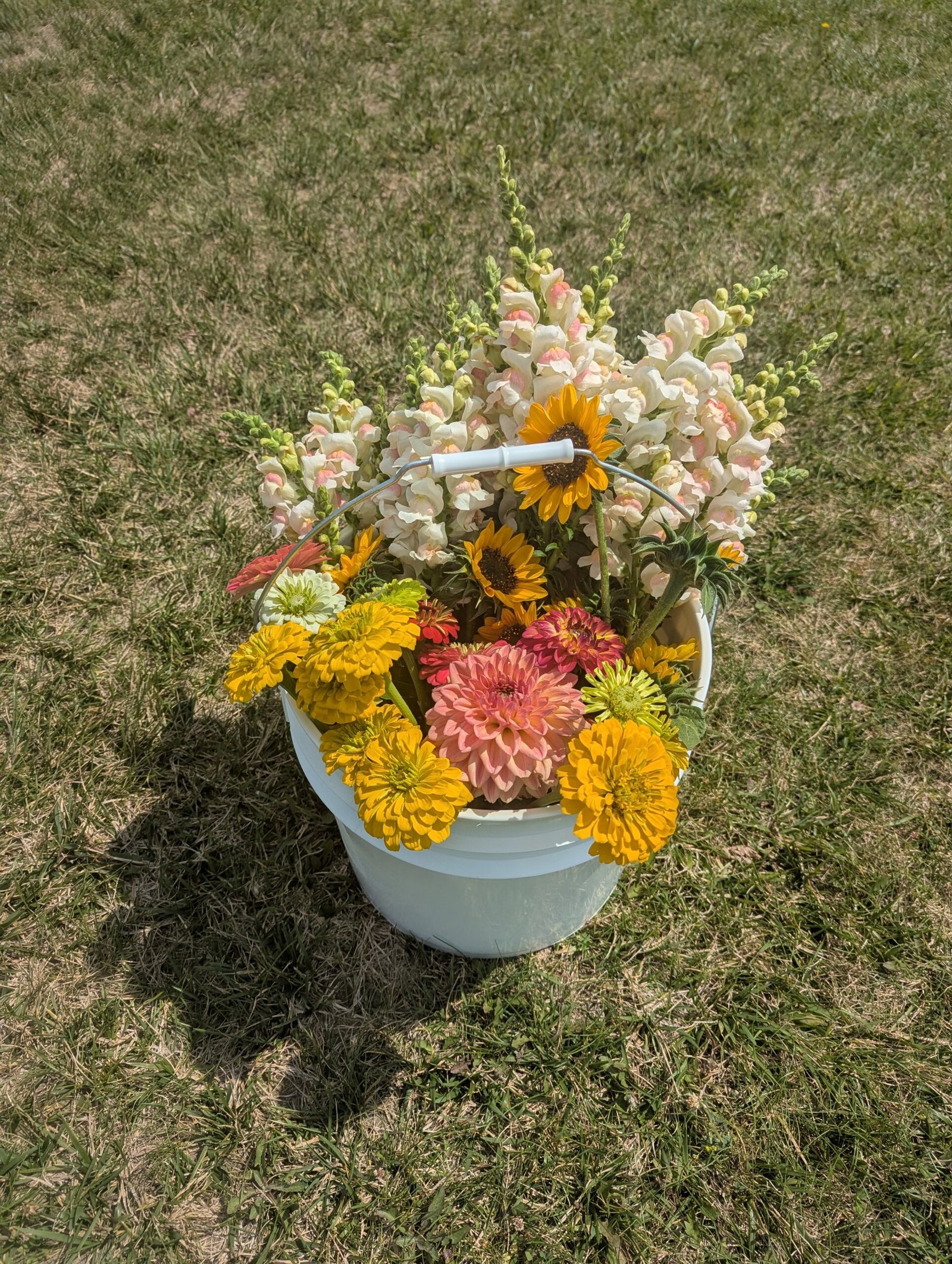 1st Flowers - Bucket 1 2026