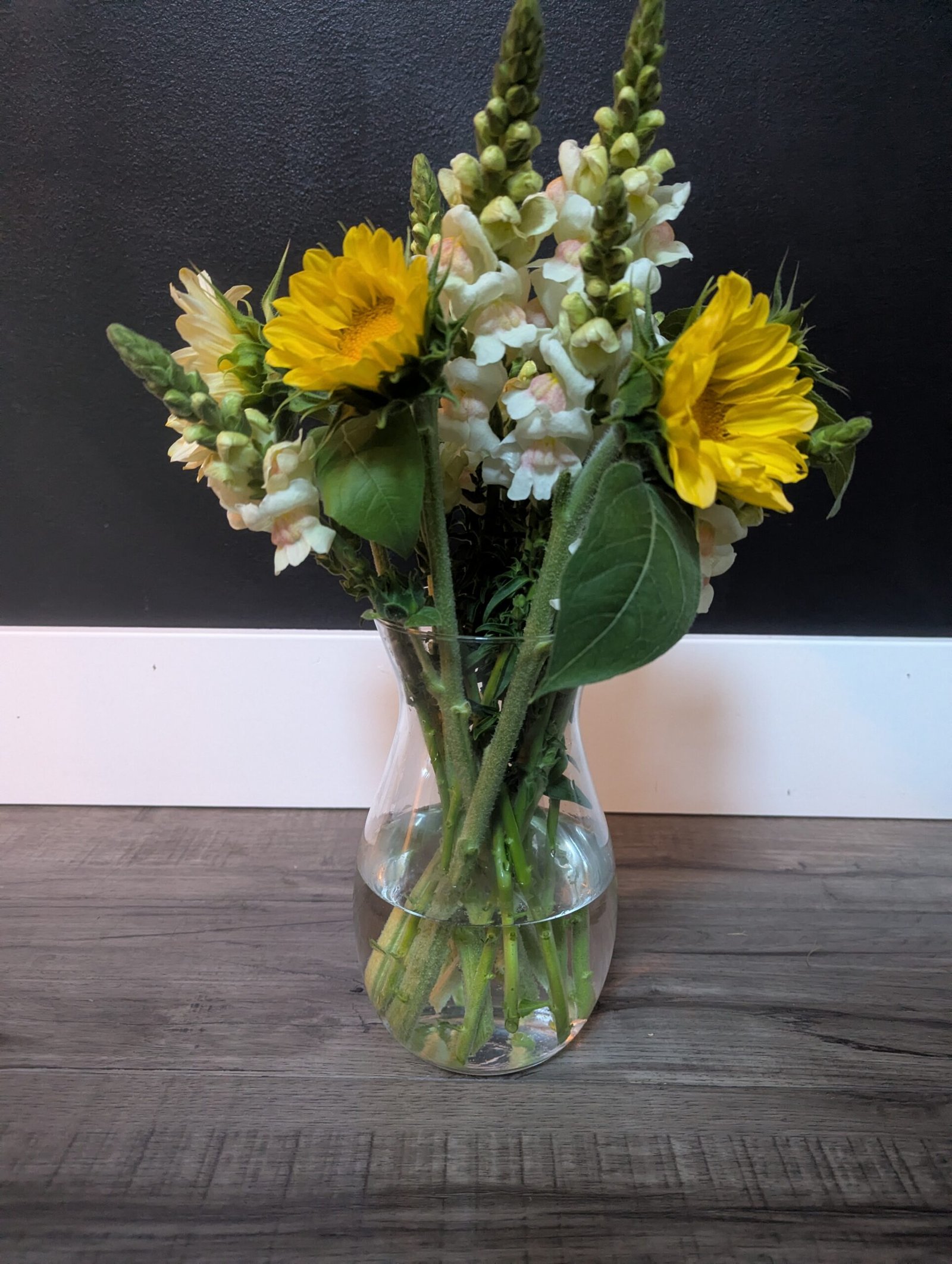 1st Flowers - Snaps & Sunflowers 2