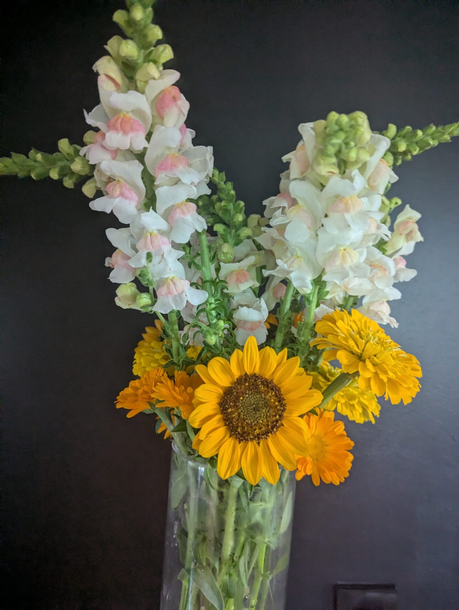 1st Flowers - Snaps & Sunflowers
