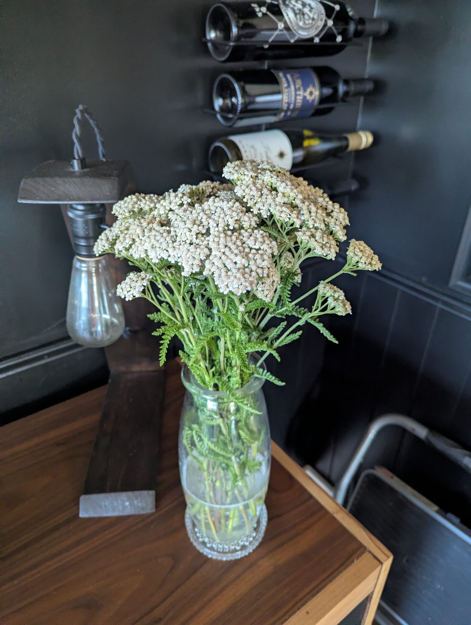 1st Flowers - WILD yarrow