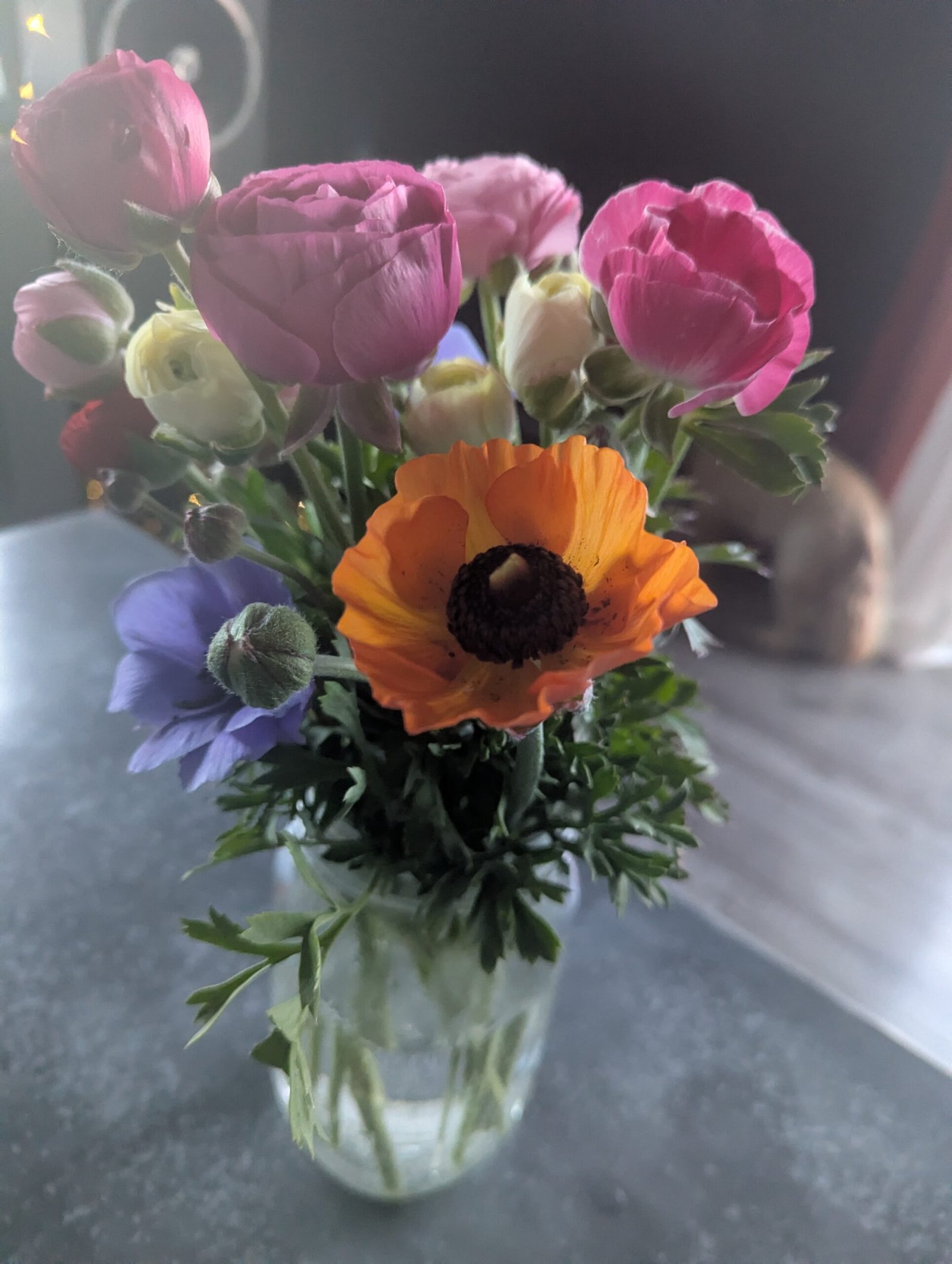 1st Flowers - very first jar vase Ranunculus Anemone